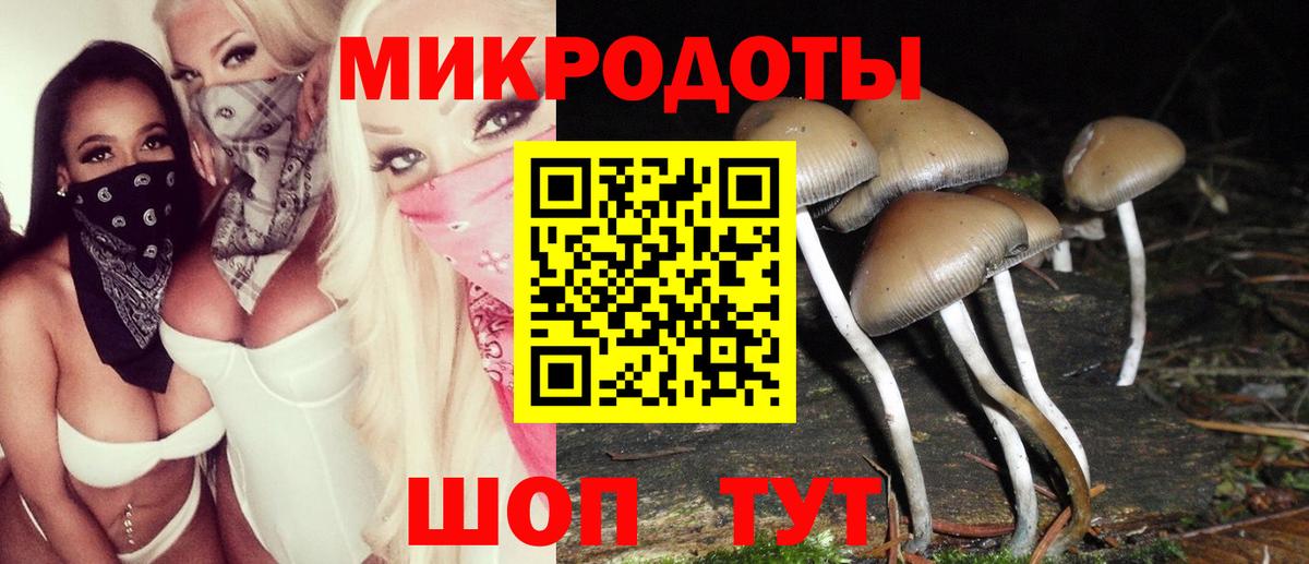 Псилоцибиновые грибы MAGIC MUSHROOMS Железноводск