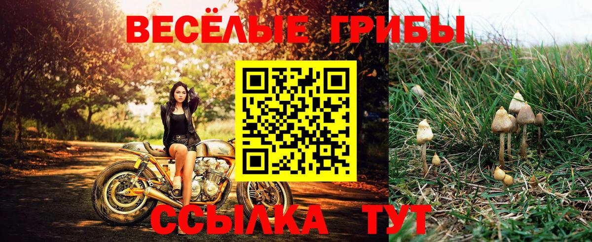 Галлюциногенные грибы ЛСД  Вход с VPN  Железноводск 